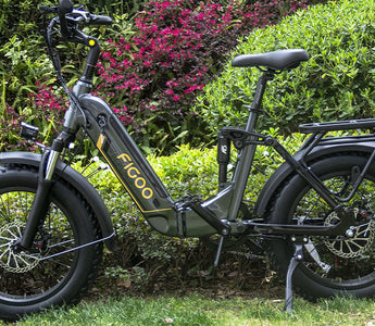 Electric Bicycles:The Green Lightning in the Urban Jungle