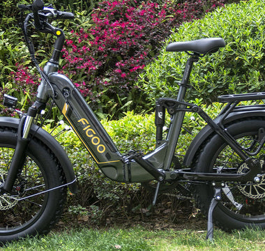 Electric Bicycles:The Green Lightning in the Urban Jungle