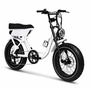 ATV 07 Electric Bike