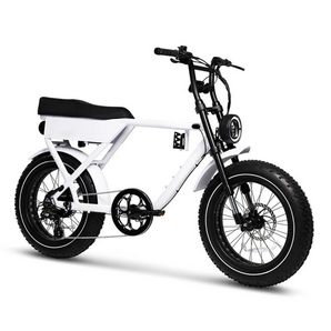 ATV 08 Electric Bike
